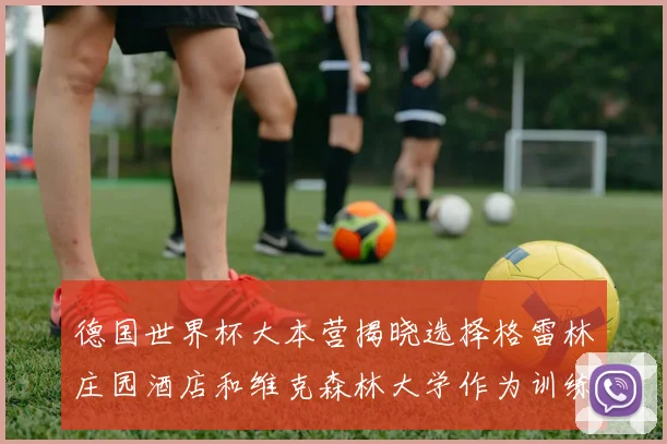 德国世界杯大本营揭晓选择格雷林庄园酒店和维克森林大学作为训练基地