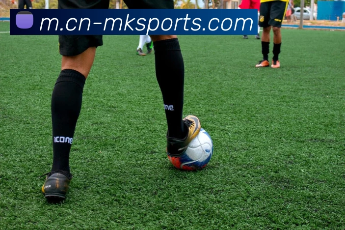 MK体育服务体系